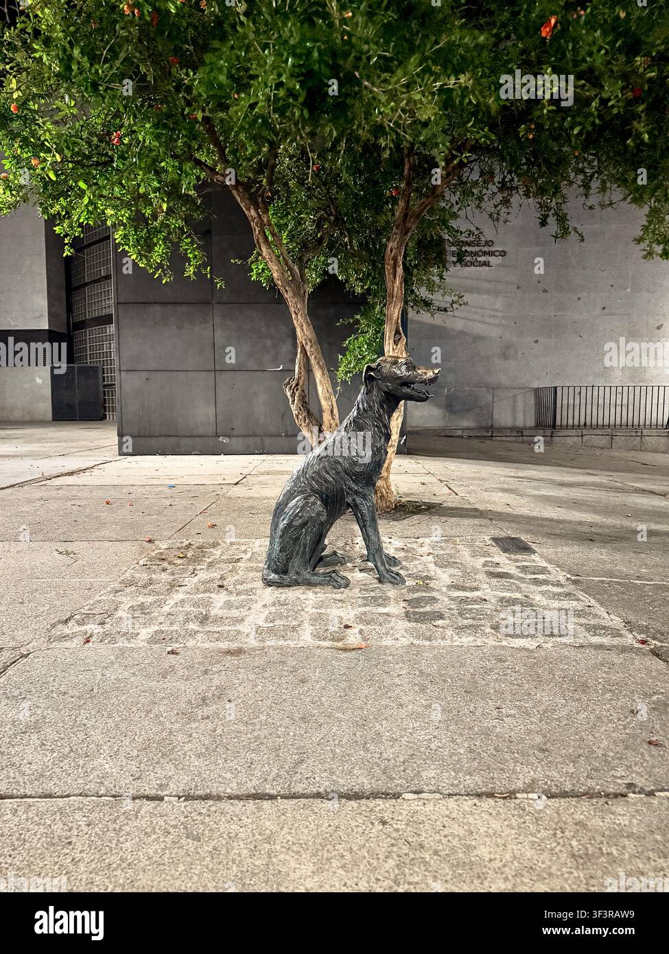 Statue en bronze d'El Perro Paco, le célèbre chien errant du 19e siècle, dans le Barrio de las Letras, Madrid, Espagne. Banque D'Images