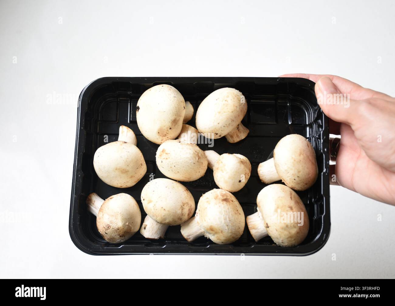 Close-up d'une main tenant un récipient alimentaire noir rempli de champignons frais. Parfait pour les concepts liés à l'alimentation saine, la préparation des repas Banque D'Images