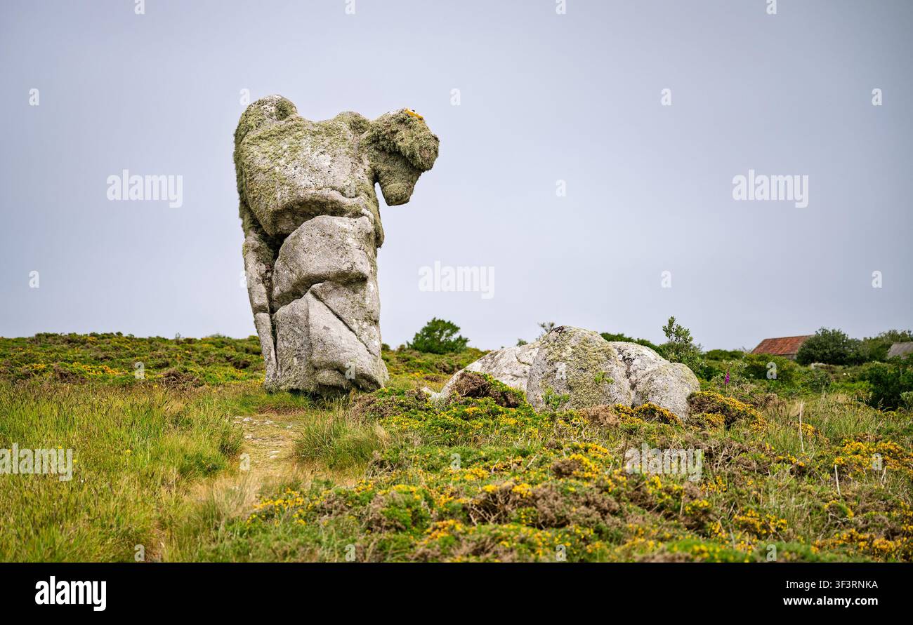 Le Nag's Head est une formation rocheuse naturelle en granit de 15 pieds de haut qui ressemble à une tête de cheval. Castella Downs, St Agnes, Îles Scilly, Royaume-Uni. Banque D'Images