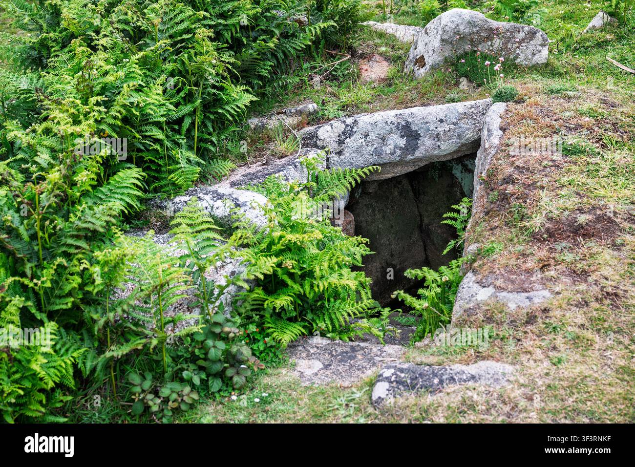 Le puits de St Warna est une chambre bordée de pierres sous un monticule herbeux. Ce puits sacré date de l’époque celtique. St Agnes, Îles Scilly, Royaume-Uni. Banque D'Images