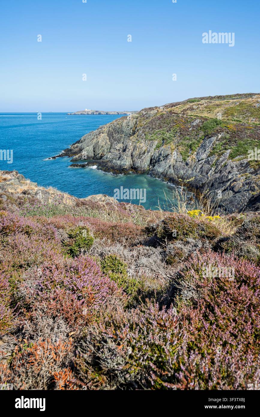Cap côtier pittoresque de Llam Carw près du port d'Amlwch sur la côte nord d'Anglesey, au Pays de Galles en juillet 2026 Banque D'Images