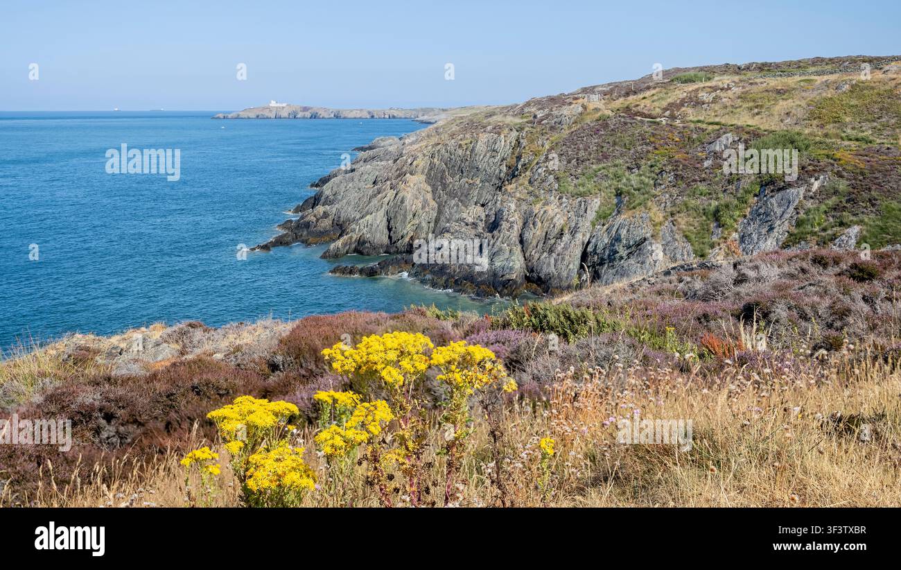 Cap côtier pittoresque de Llam Carw près du port d'Amlwch sur la côte nord d'Anglesey, au Pays de Galles en juillet 2026 Banque D'Images