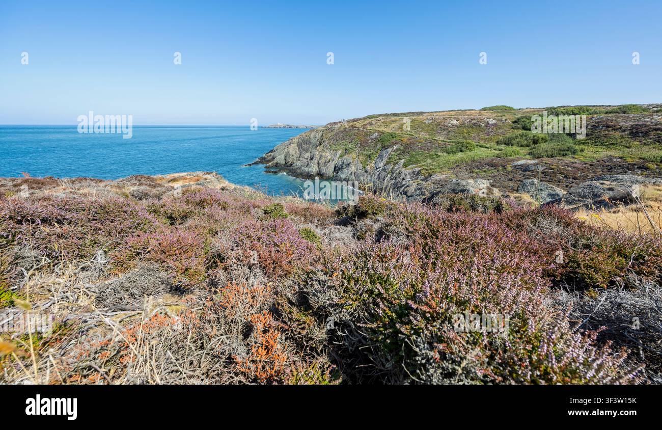 Cap côtier pittoresque de Llam Carw près du port d'Amlwch sur la côte nord d'Anglesey, au Pays de Galles en juillet 2026 Banque D'Images