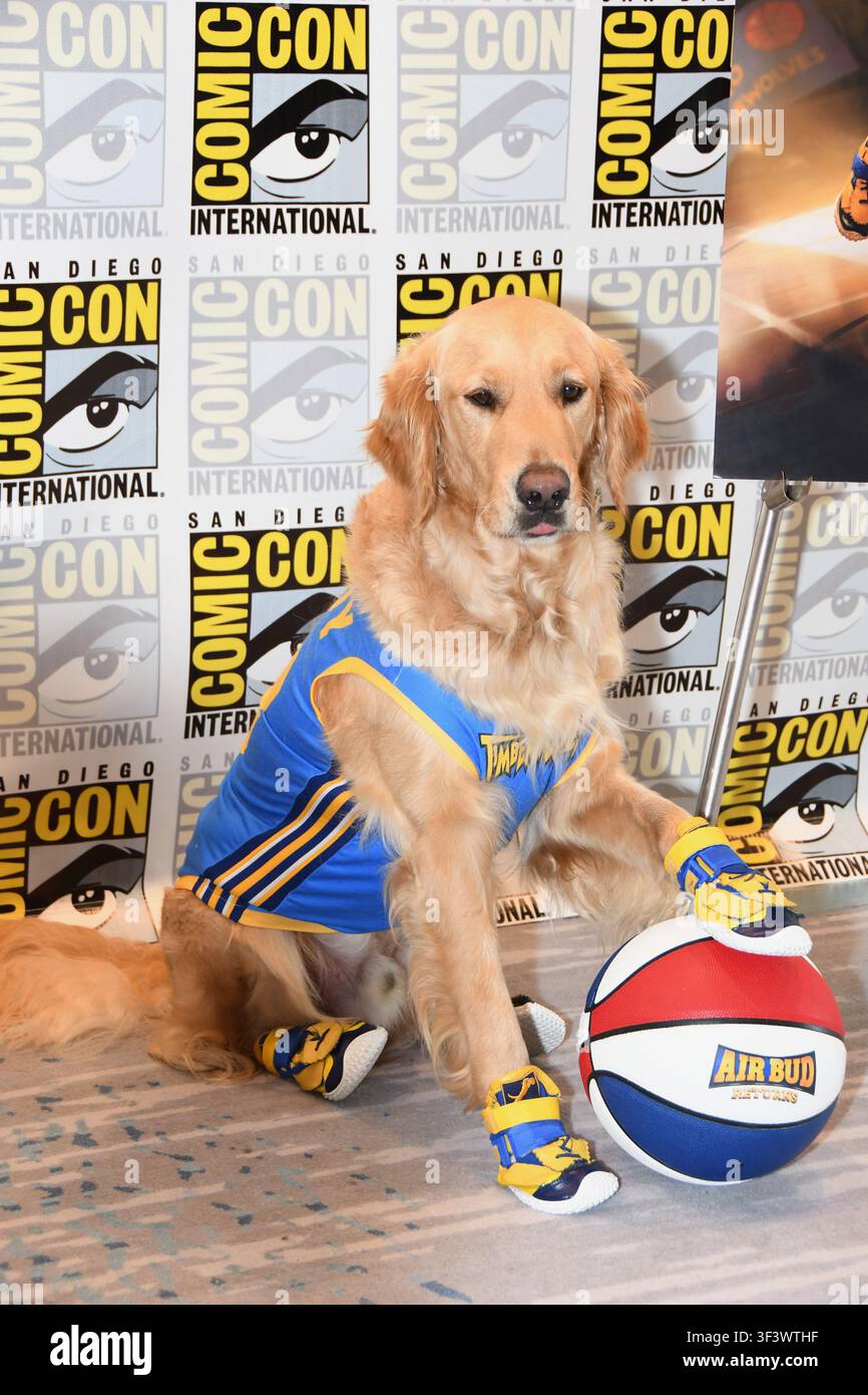 Arrivée de Buddy au photocall pour « Air Bud Returns » à l’Hilton Bayfront lors du San Diego Comic-Con International Day trois organisé le 25 juillet 2026. Banque D'Images