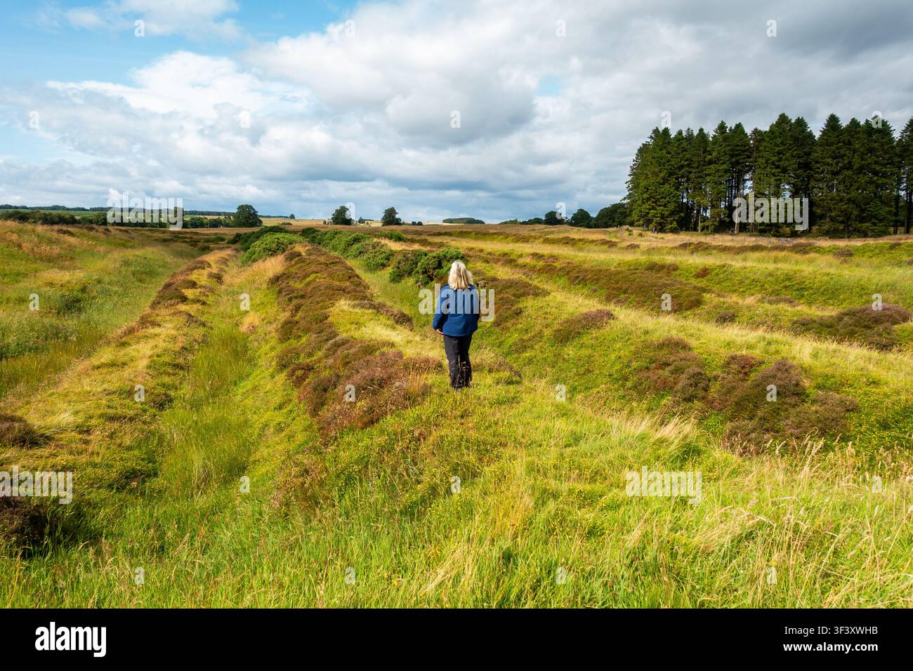 Restes du fort romain d'Ardoch, un immense site archéologique près de Braco, Perth et Kinross, Écosse. Les fossés et les remparts sont encore clairement visibles Banque D'Images