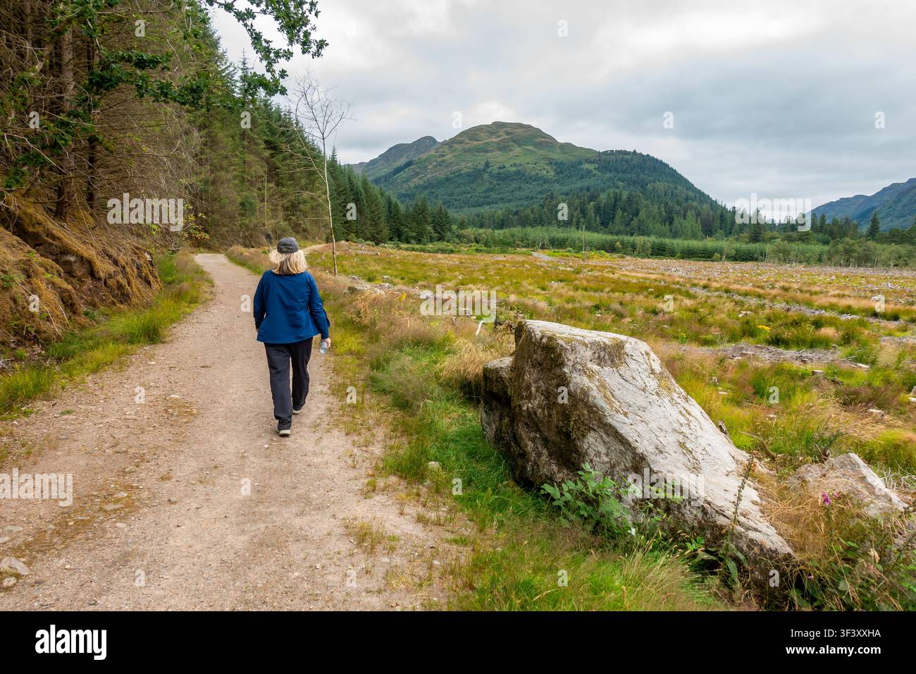 Un randonneur sur le sentier de la rivière Eachaig près de Benmore, Argyll and Bute, Écosse, avec la colline d'A'Chruach en arrière-plan Banque D'Images