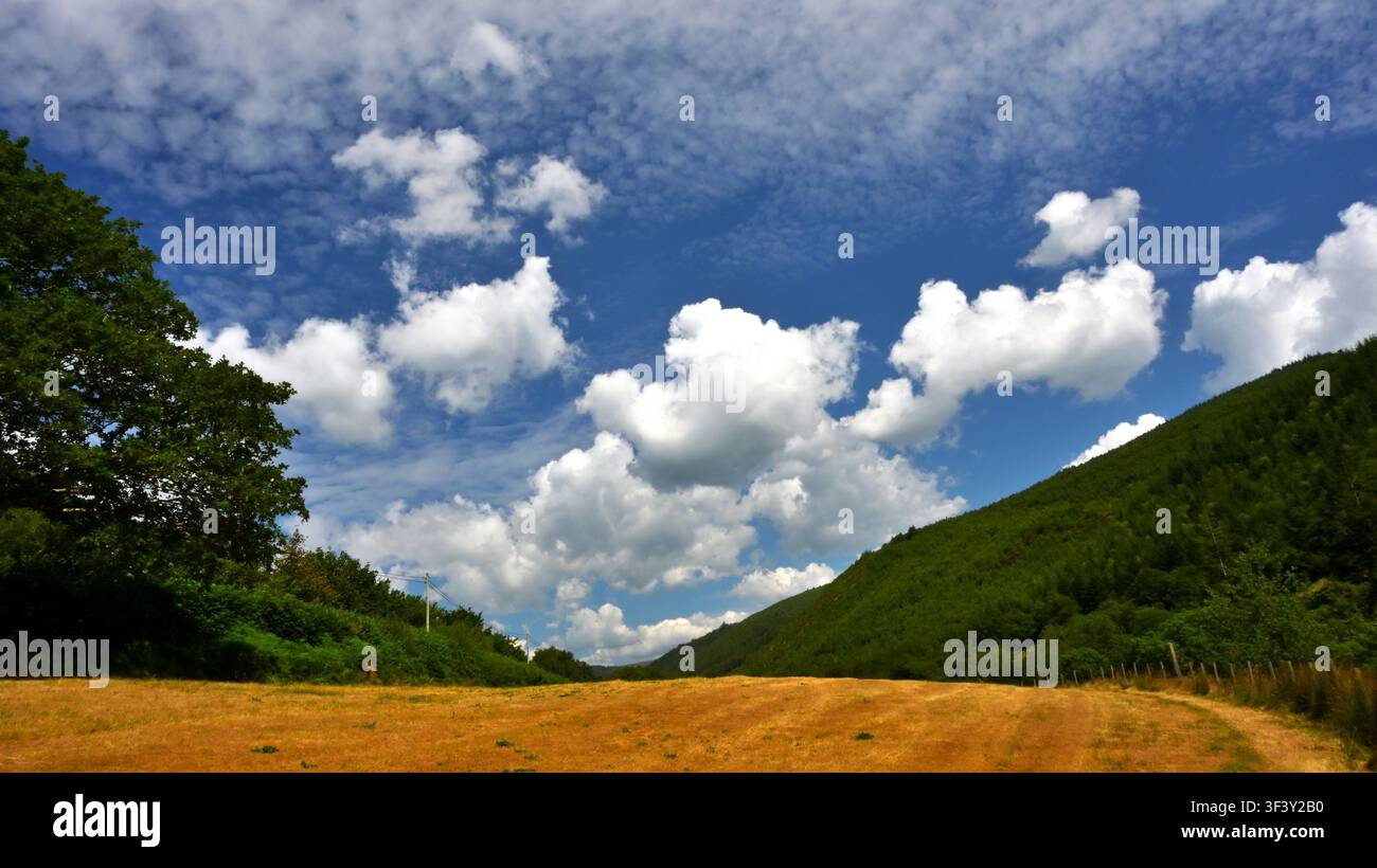 Nuages cumulus se détachant sur un ciel bleu profond avec des terres agricoles en dessous. Banque D'Images