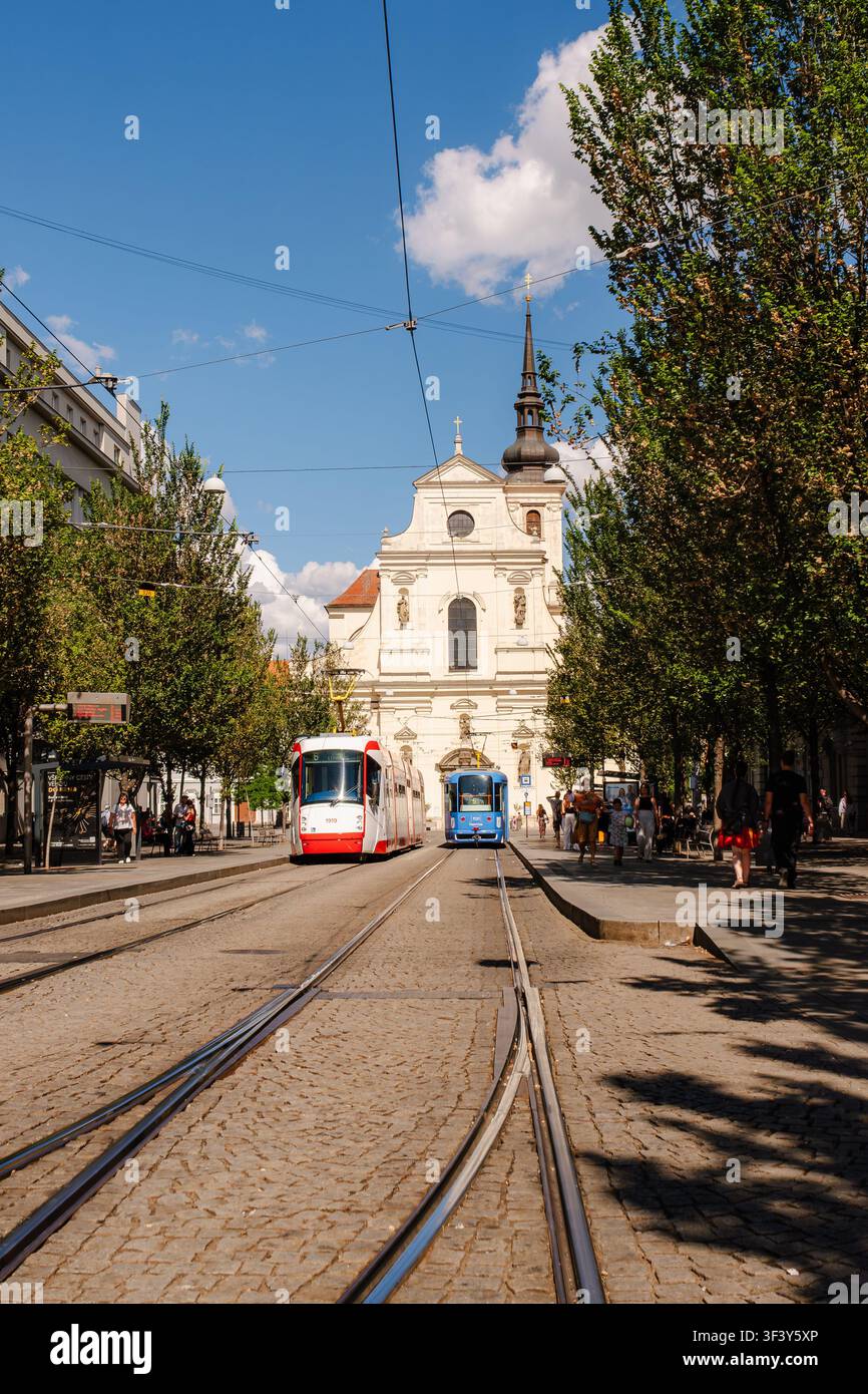 Façade d'église historique à côté de deux tramways sur une rue urbaine bordée d'arbres sous un ciel bleu, montrant une architecture en pierre ornée. Banque D'Images