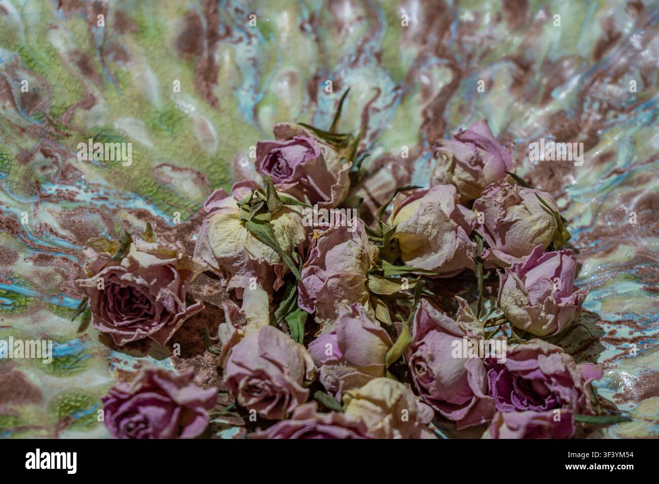 Roses séchées roses arrangées sur une assiette en céramique marbrée, pétales fanés en gros plan, nature morte botanique vintage, décoration florale rustique Banque D'Images