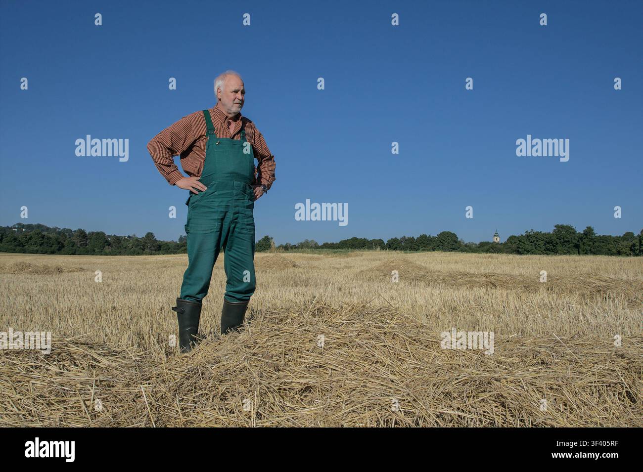 Agriculteur senior pensif examinant son champ de céréales récolté à sec pendant une sécheresse estivale chaude, illustrant l'impact du changement climatique. Banque D'Images