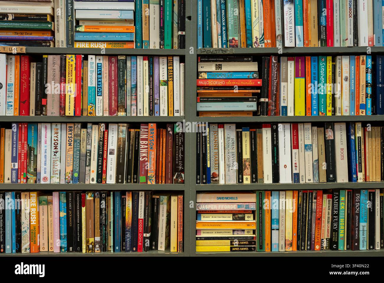 Gros plan de divers livres de poche sur des étagères dans une librairie d'occasion à Cardiff, Pays de Galles, Royaume-Uni Banque D'Images