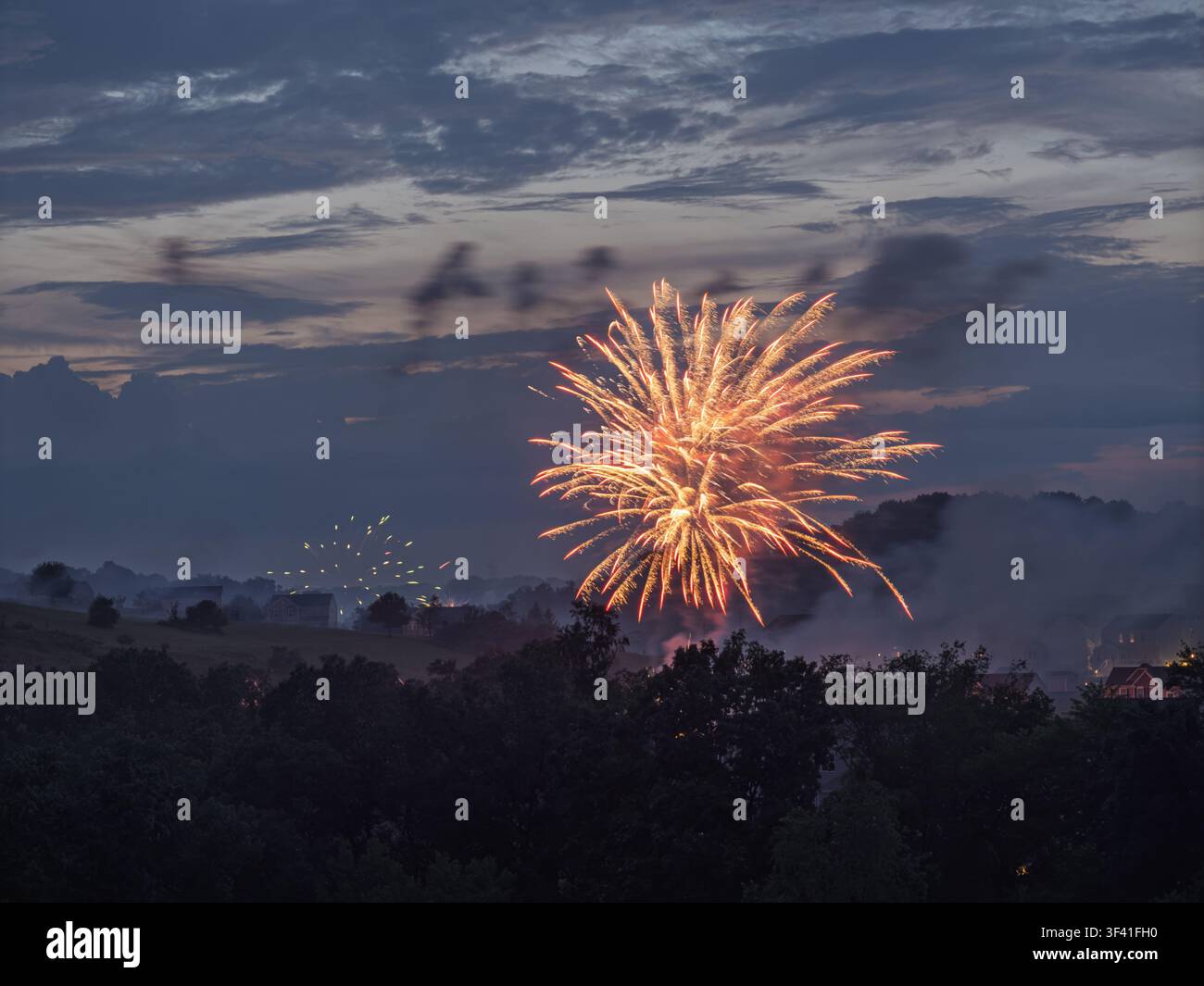 Une explosion sphérique dense de feux d'artifice dorés brille intensément au-dessus des arbres pendant les célébrations du 4 juillet Banque D'Images