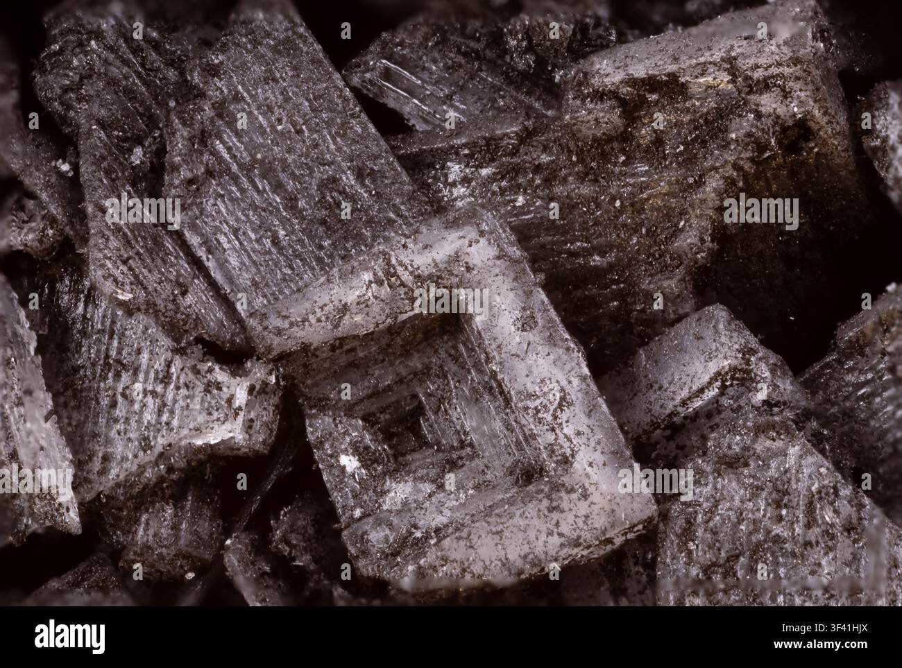 super macro de gros flocons de sel noir au charbon d'épices exotiques de Chypre en détail très proche. Fond idéal pour aliments et épices Banque D'Images