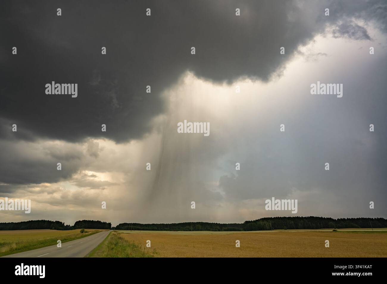 Nuages d'orage dramatiques produisant un puissant rideau de pluie sur un paysage agricole avec une route rurale menant vers l'orage. Météo puissante Banque D'Images