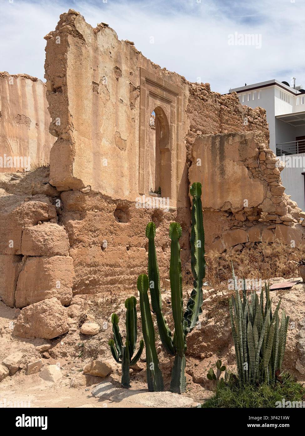 Ruines en briques de boue effondrées avec une vieille arche, encadrées par des plantes cactus, à Tamraght, Maroc Banque D'Images