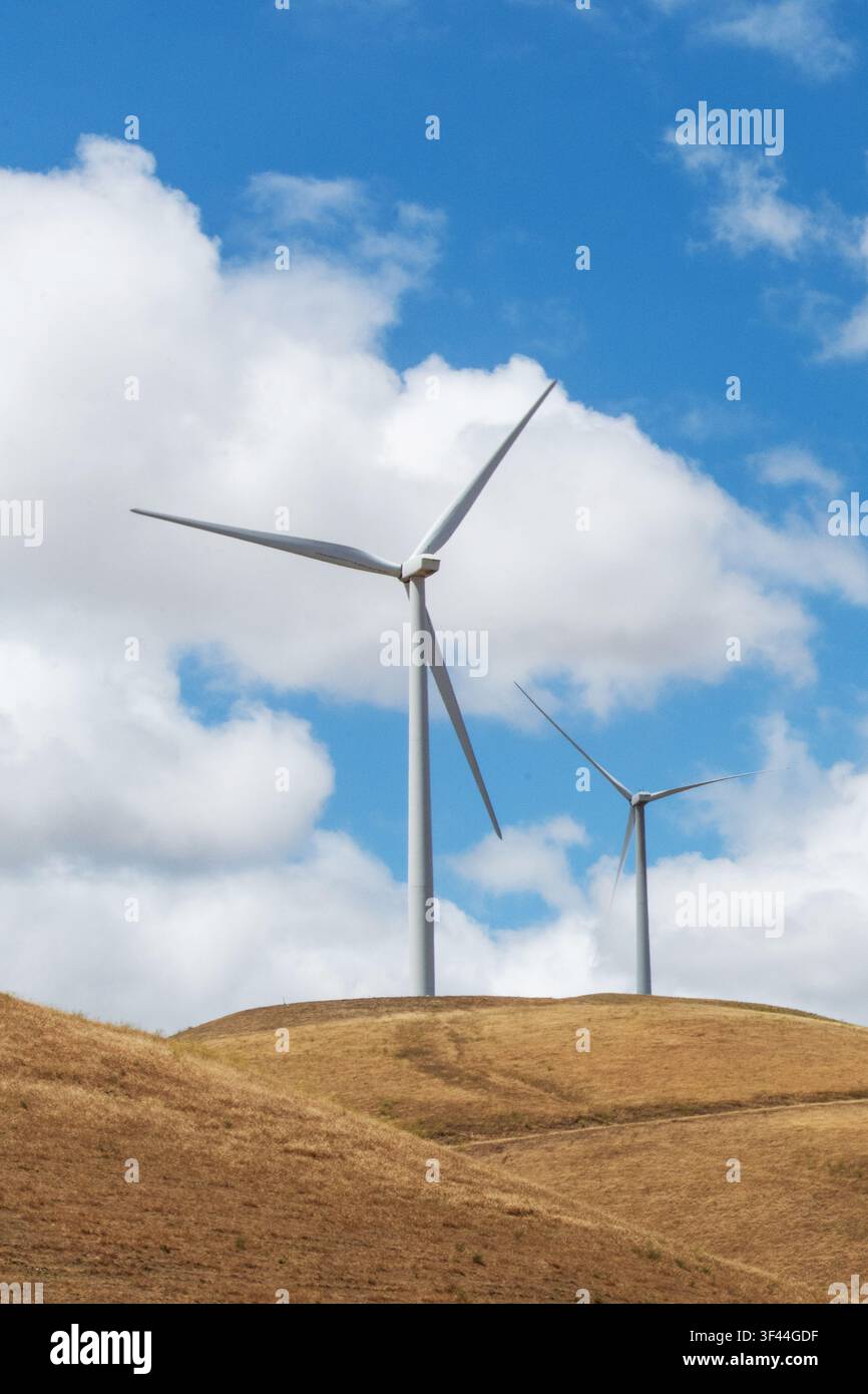 Deux éoliennes s'élèvent sur une colline dorée sous un ciel bleu vif parsemé de nuages duveteux. Cette scène sereine met en lumière la puissance des énergies renouvelables Banque D'Images