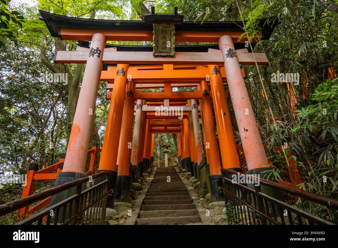 Chemin des Sanctuaires de Fushimi Inari Mille Portes de Dédicace Banque D'Images