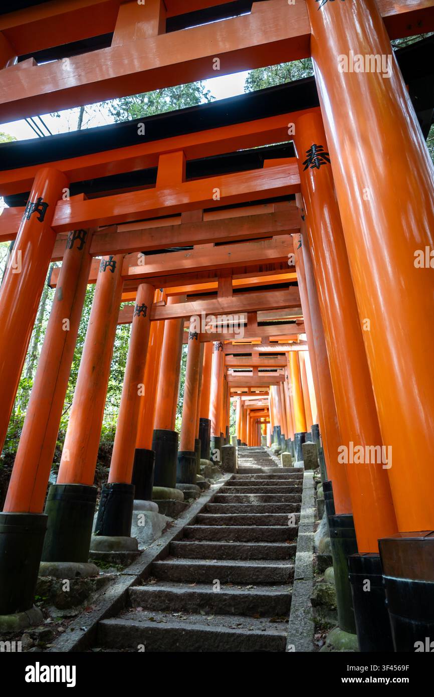 Chemin des Sanctuaires de Fushimi Inari Mille Portes de Dédicace Banque D'Images