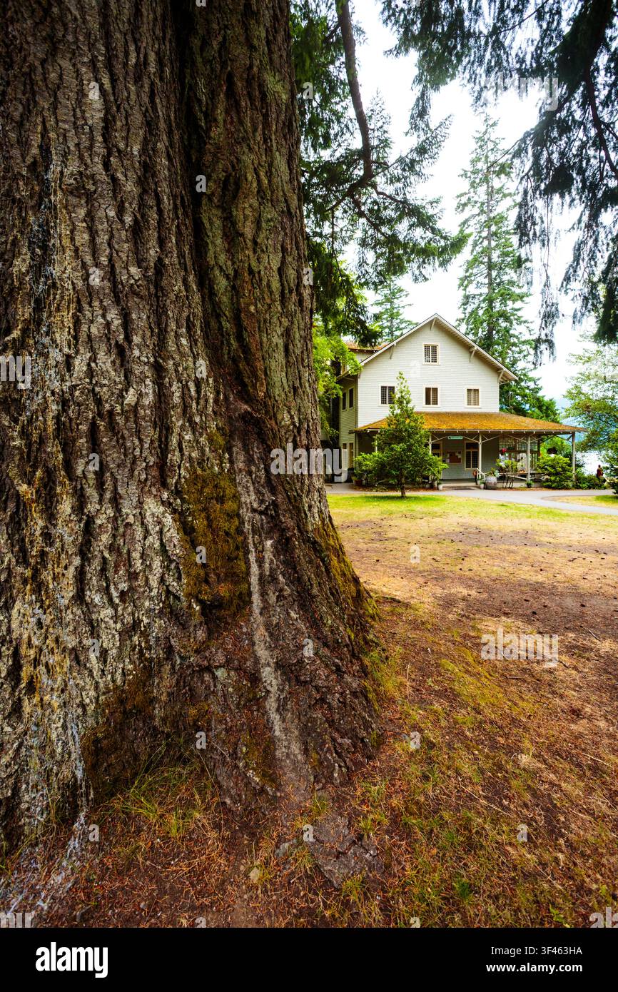 Lake Crescent, Parc national Olympique, une maison dans les bois. Banque D'Images