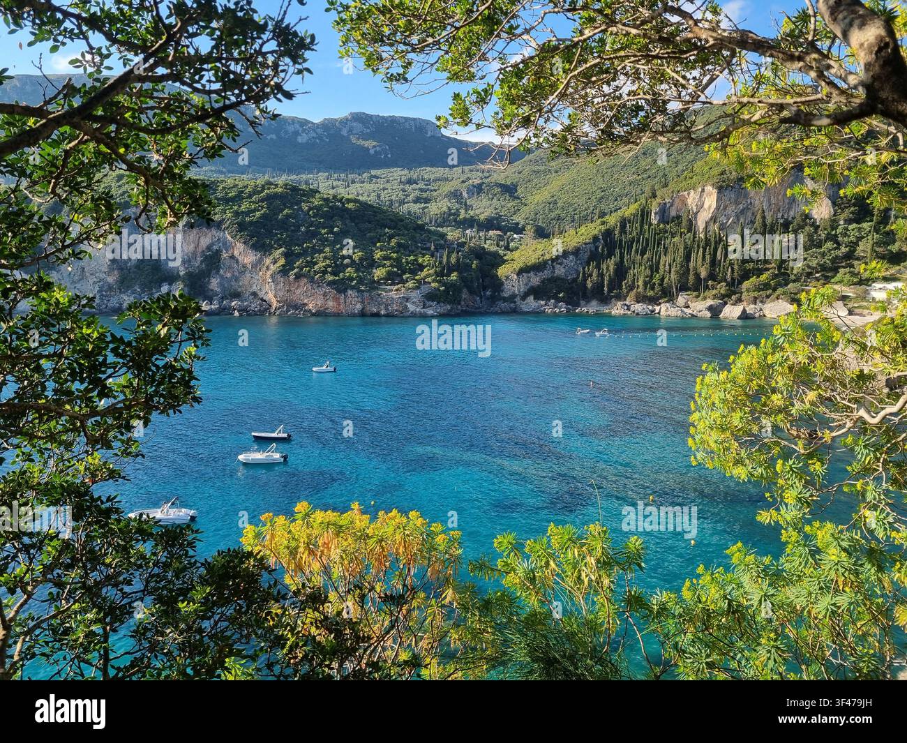 Des branches d'olivier encadrant une baie turquoise avec des bateaux amarrés en contrebas de falaises calcaires boisées, Liapades sur la côte ouest de Corfou, Îles Ioniennes, Grèce - Image de stock capturée avec un smartphone