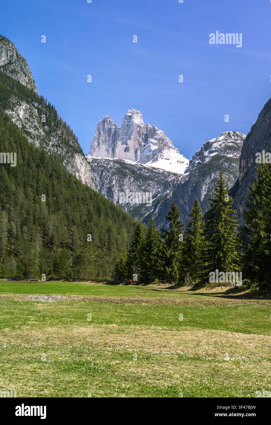 L'Italie, Dolomites, Veneto, le Lavaredo mountain vu de la zone Dobbiago Banque D'Images