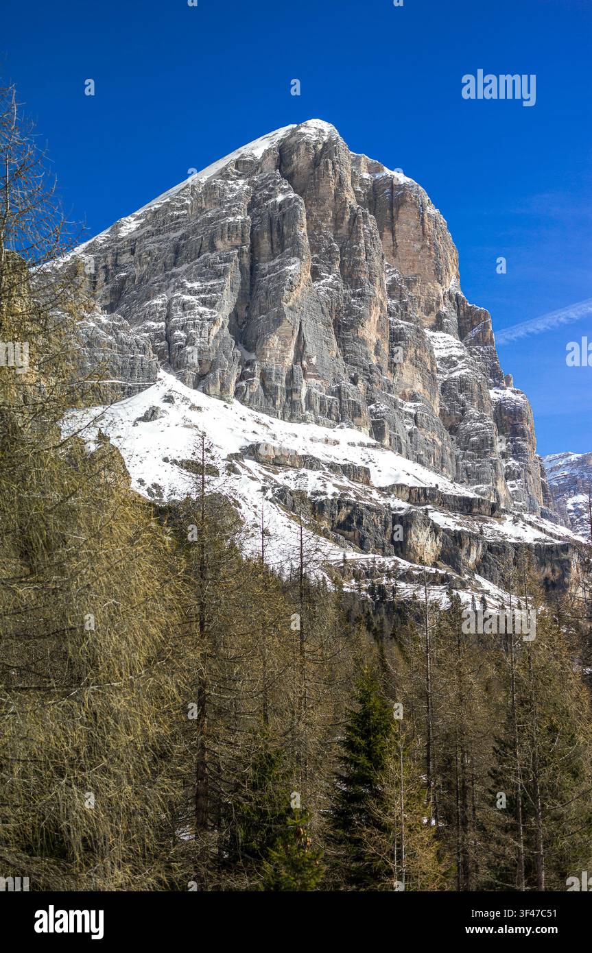 L'Italie, Dolomites, Veneto, Cortina D'Ampezzo, la montagne de Tofane Rozes Banque D'Images