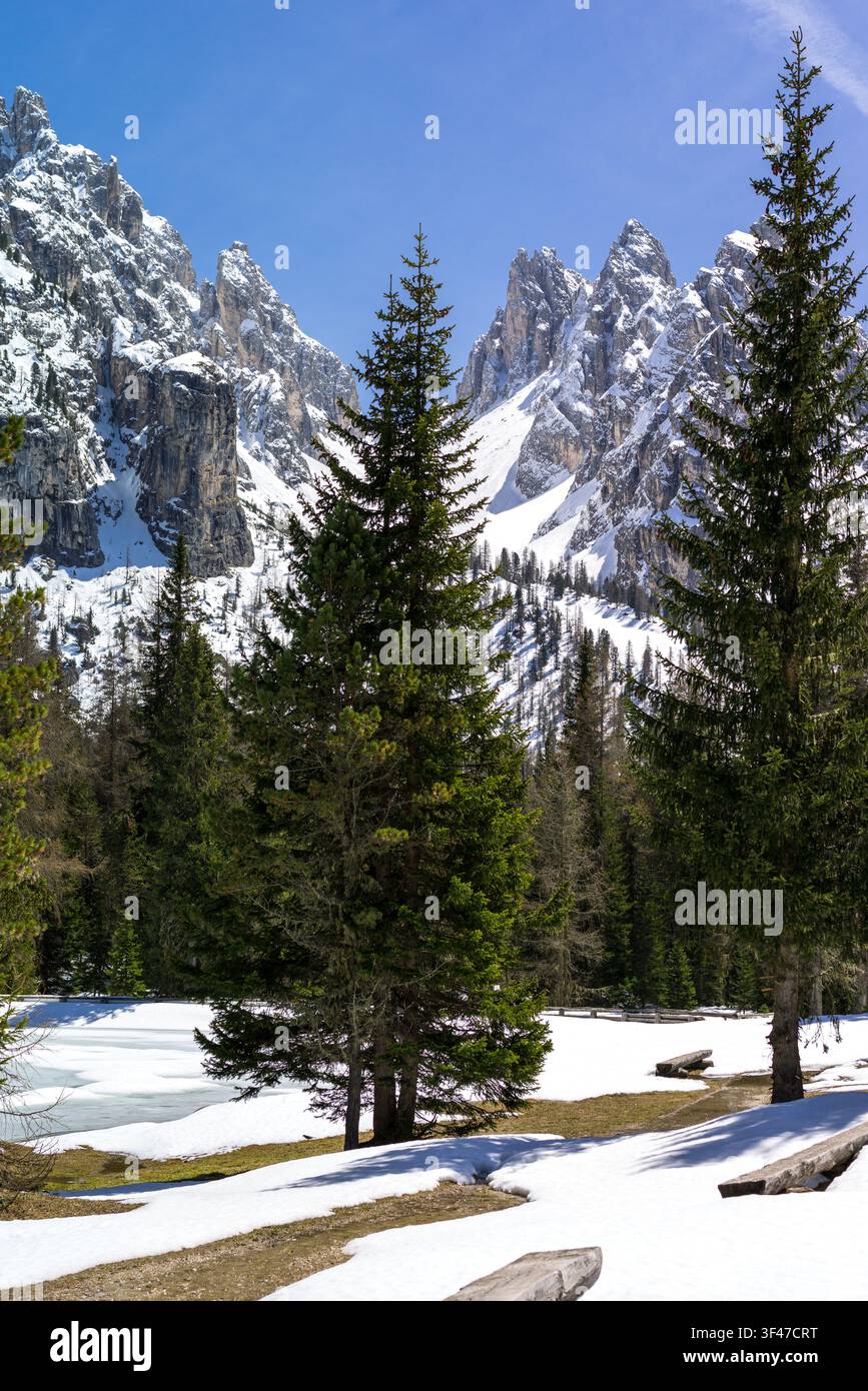 L'Italie, Dolomites, Veneto, vue sur les Cadini di Misurina montagne depuis le lac Antorno Banque D'Images