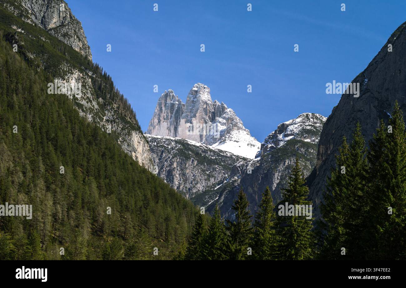 L'Italie, Dolomites, Veneto, le Lavaredo mountain vu de la zone Dobbiago Banque D'Images