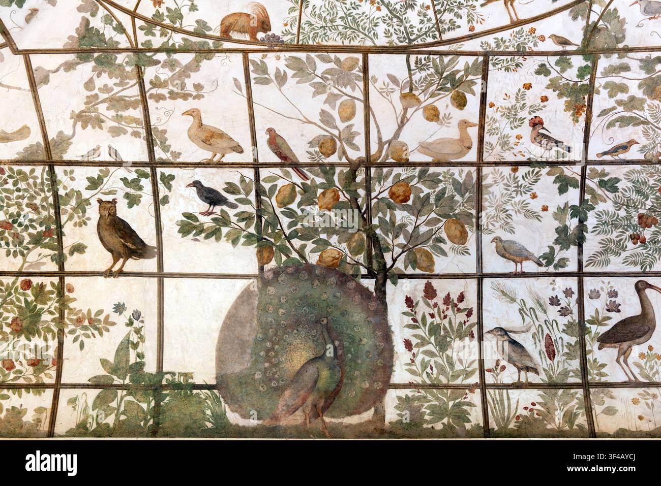 Détail rapproché d'une fresque représentant un paon sous un arbre fruitier parmi de nombreux oiseaux et des plantes en fleurs dans la salle des oiseaux de la Villa Médicis à l'Académie française à Rome Banque D'Images