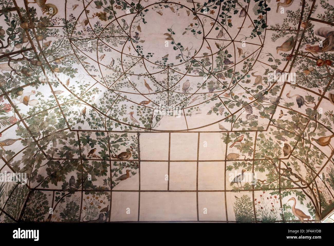 Vue ascendante de la salle voûtée des oiseaux à la Villa Médicis, décorée d'un treillis peint complexe, d'oiseaux, de vignes et de feuillage à l'Académie française à R Banque D'Images