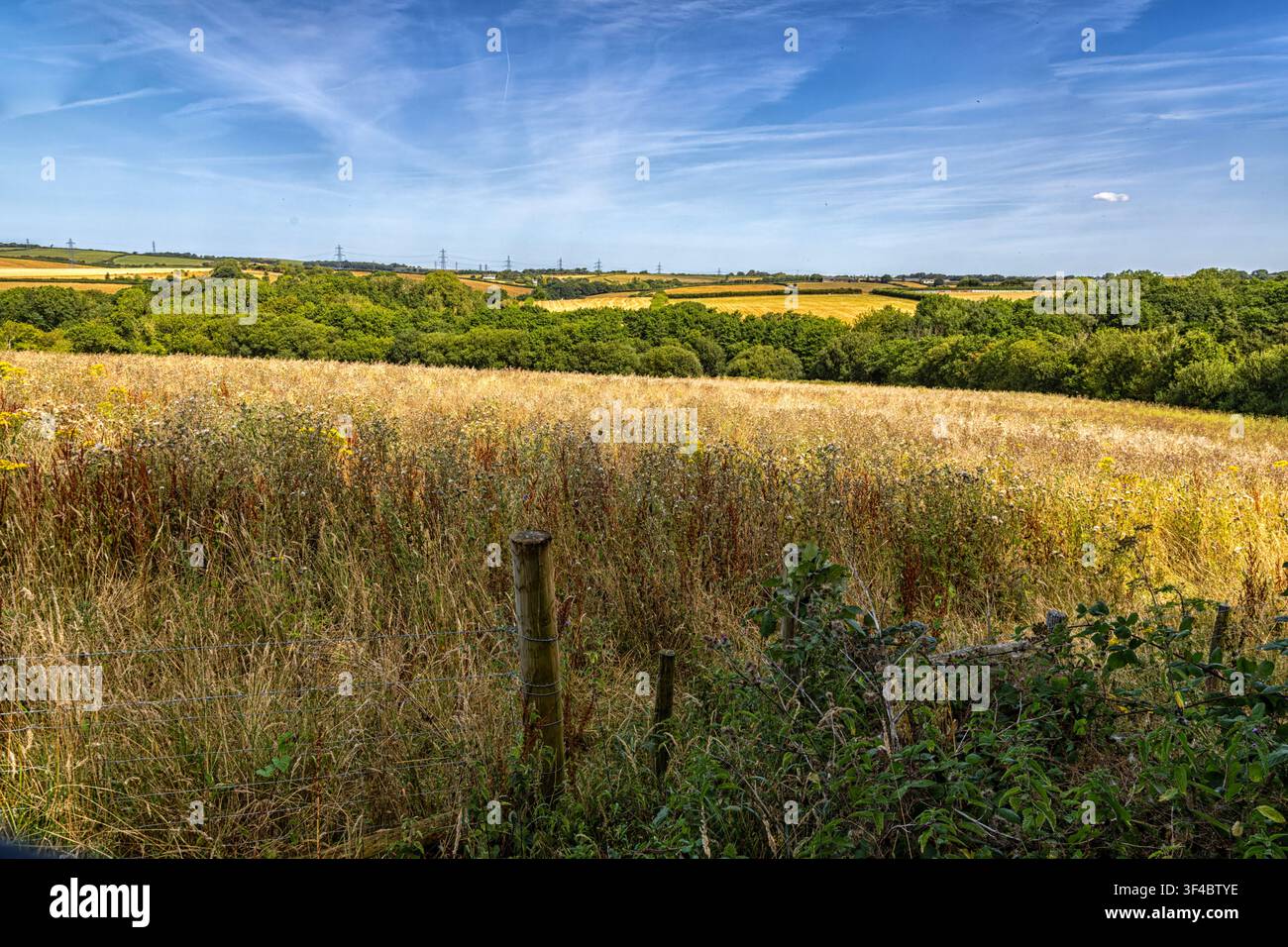Sentier pédestre de Huntshaw à Huntshaw Water Vue sur des terres agricoles et des forêts indigènes, site proposé pour le développement d’un BESS à hyper-échelle et d’un centre de données mondial Banque D'Images