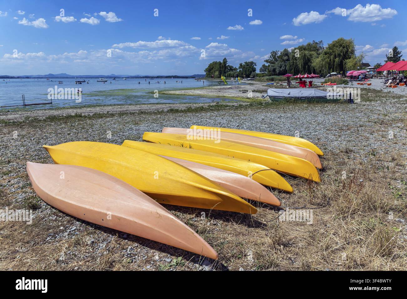 Plage sur l'île de Reichenau. Le niveau d'eau du lac de Constance est actuellement bas pour la période de l'année. Reichenau, Bade-Wurtemberg, Allemagne Banque D'Images
