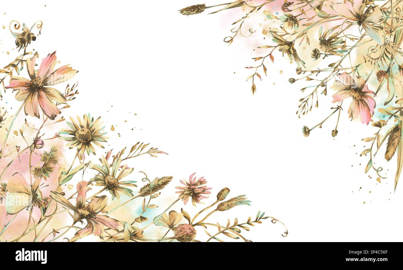 Fleurs sauvages et herbe de prairie dessinées à la main à l'aquarelle. Cadre botanique avec motif floral en couleur pastel. Fond naturel élégant pour mariage Banque D'Images