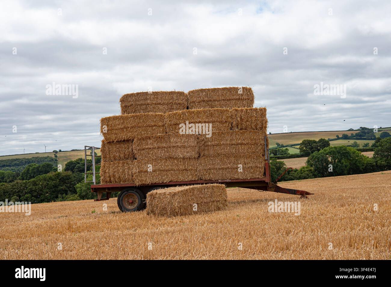 Remorque de paille dans un champ de chaume Banque D'Images