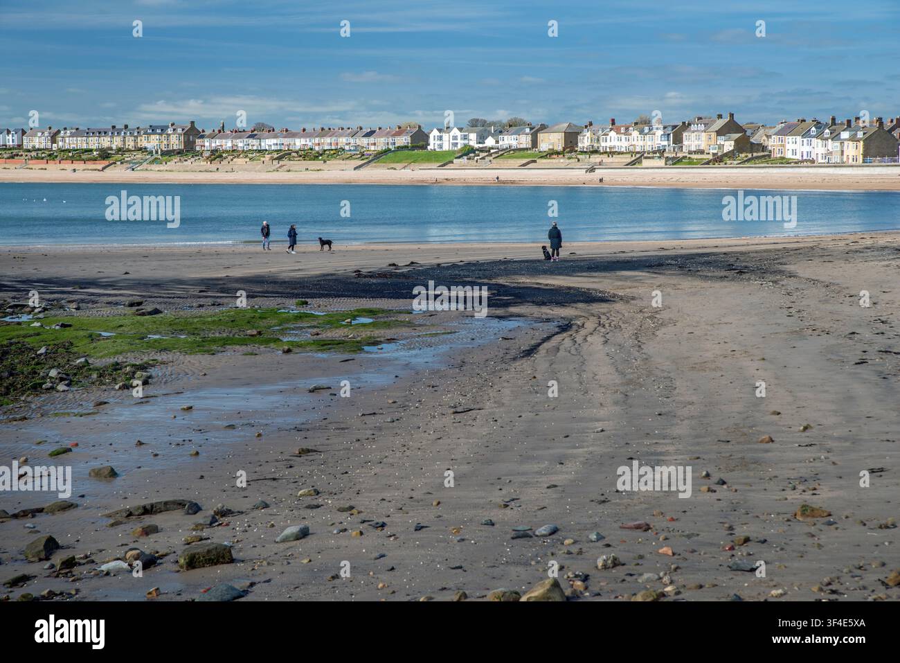 Des gens promenant leurs chiens sur la plage de Newbiggin-by-the-Sea ; Northumberland ; Angleterre Banque D'Images