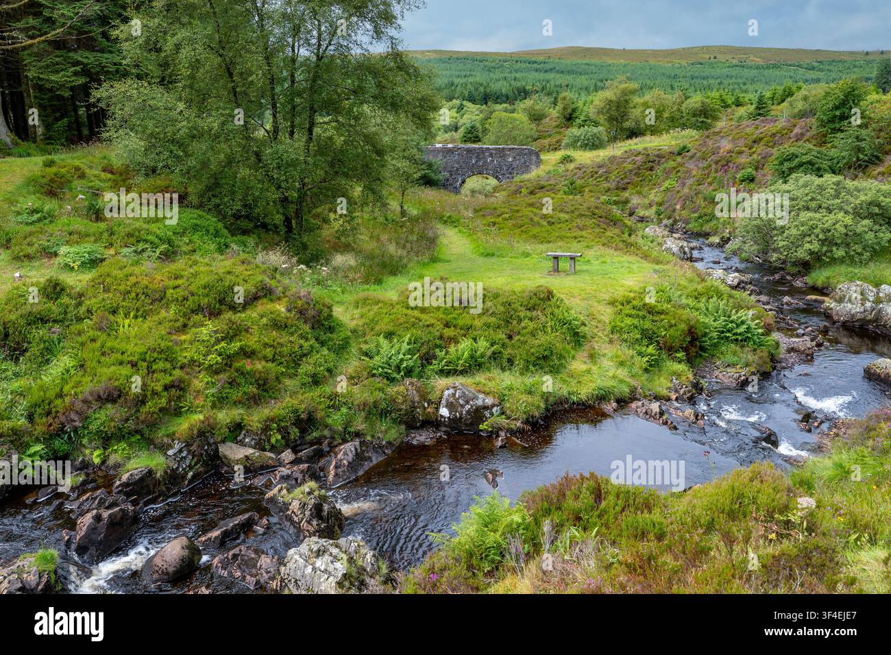 Cascades et pont sur la rivière Stinchar, près de Maybole, Ayrshire, Écosse Banque D'Images