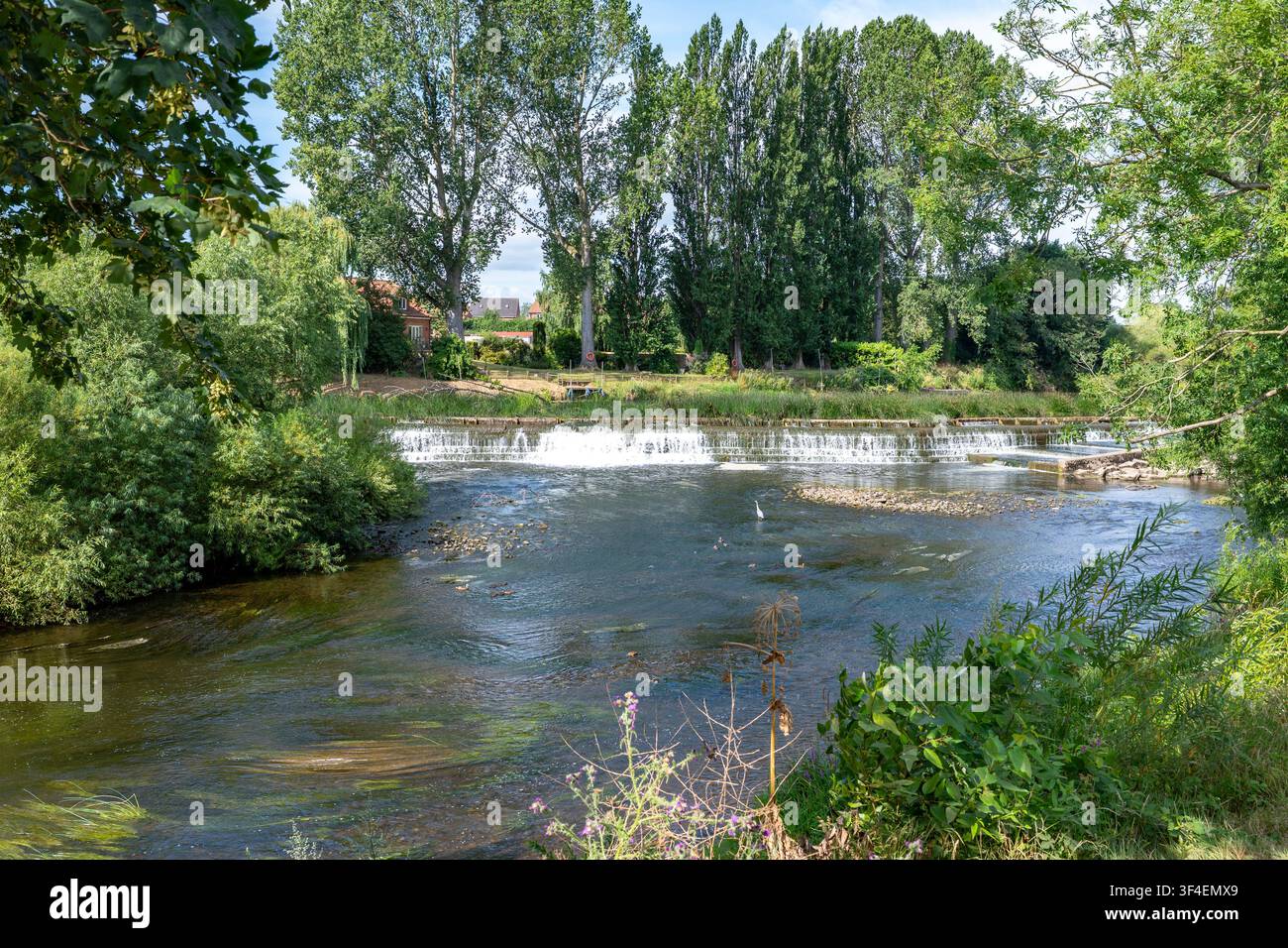 Barrage sur la rivière Ure, Boroughbridge, Yorkshire, Angleterre Banque D'Images