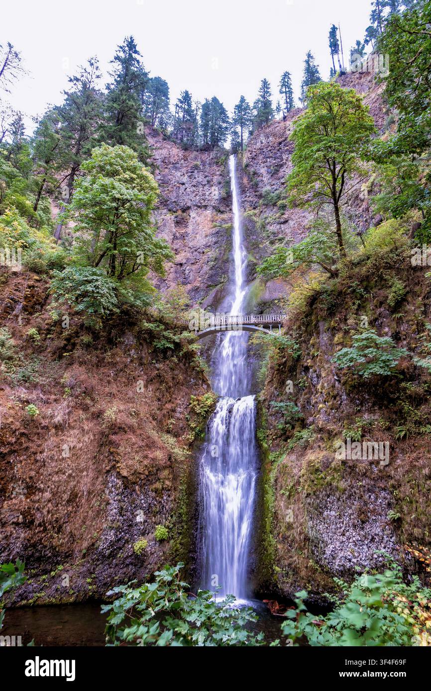 Une cascade imposante dévale une falaise moussue et escarpée. Des arbres verdoyants encadrent la scène avec des touches automnales. Un petit pont traverse le ruisseau en contrebas Banque D'Images