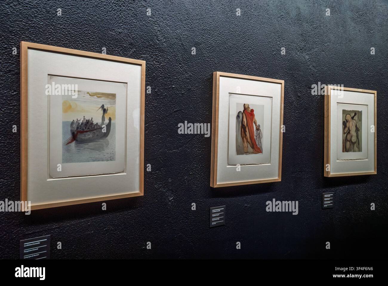Les illustrations de la 'Divine Comédie' de Salvador Dalí exposées sur un mur texturé sombre au Théâtre-Musée Dalí à Figueres, Catalogne, Espagne. Banque D'Images