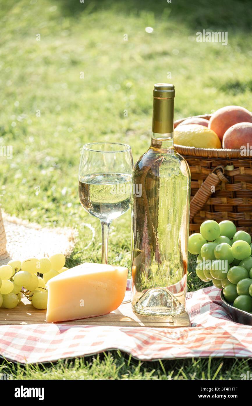 Pique-nique d'été avec du vin blanc, du fromage, des raisins et des fruits frais sur une couverture à carreaux dans un jardin ensoleillé Banque D'Images