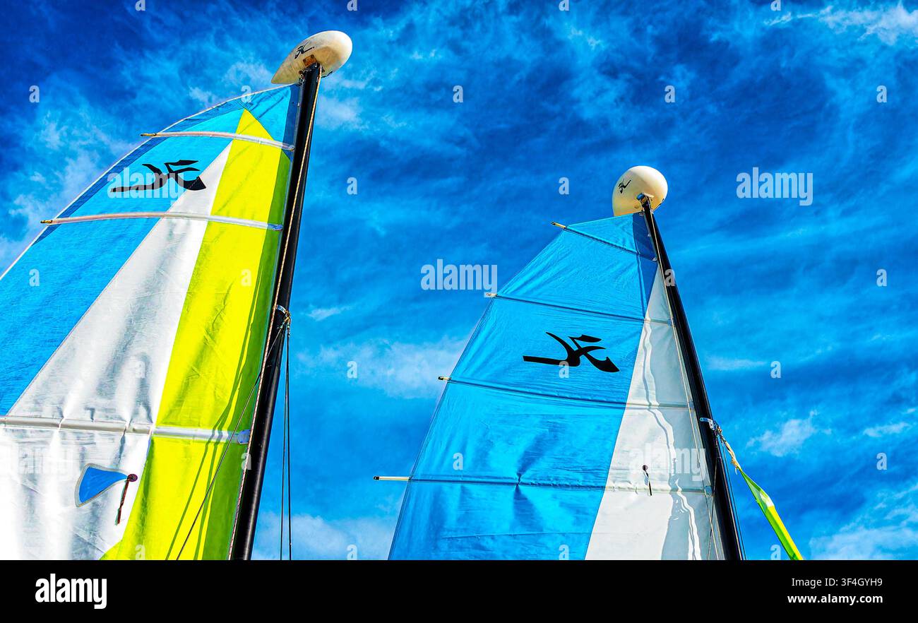 Ce sont des voiliers catamarans Hobie Cat Banque D'Images