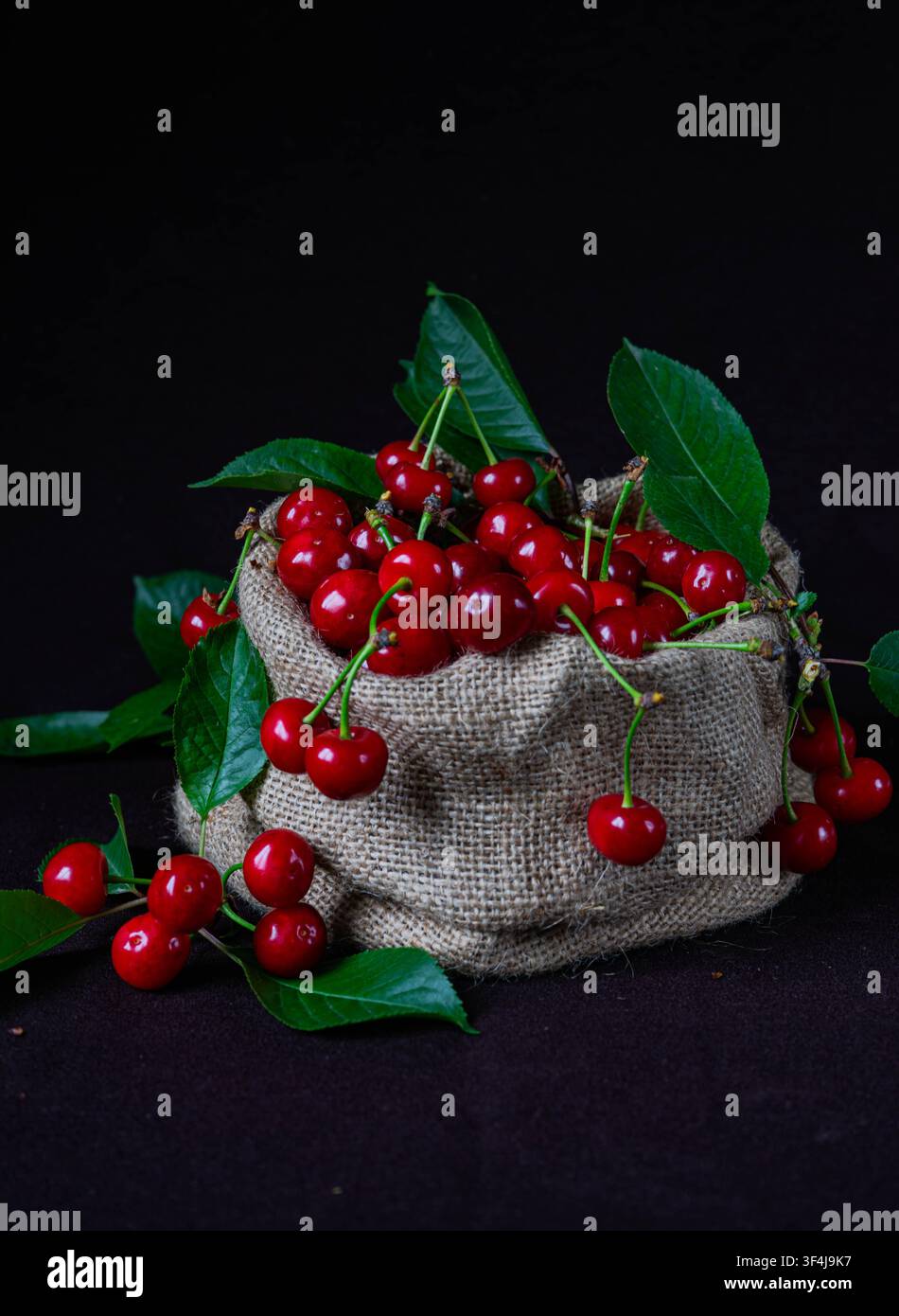 Cerises fraîches et mûres dans un sac en toile de jute rustique avec des feuilles vertes sur un fond noir. Banque D'Images