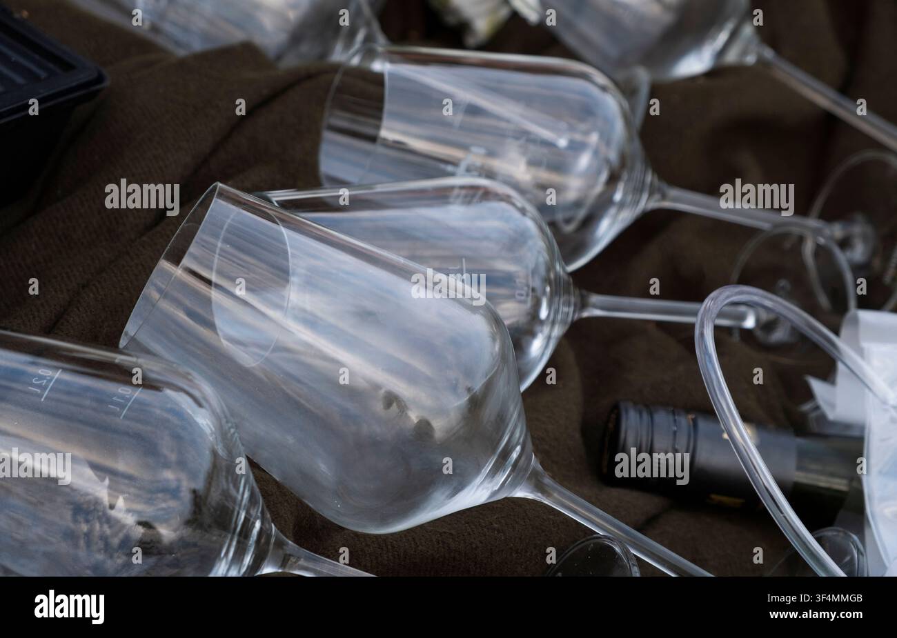 Gros plan de verres à vin vides disposés en rangée avec mise au point sélective. Banque D'Images