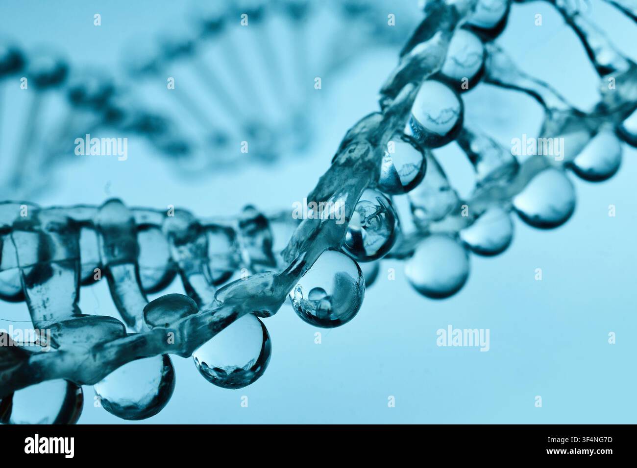 Structure en double hélice d'ADN se formant avec des gouttes d'eau Banque D'Images