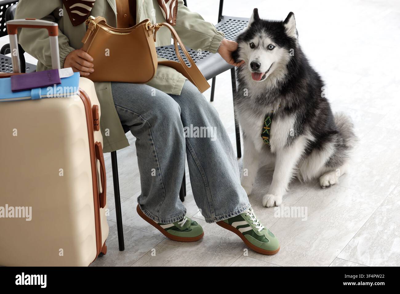 Person avec chien husky et bagages, concept de voyage et d'amitié envers les animaux, hall d'aéroport ou d'hôtel, planification des vacances Banque D'Images