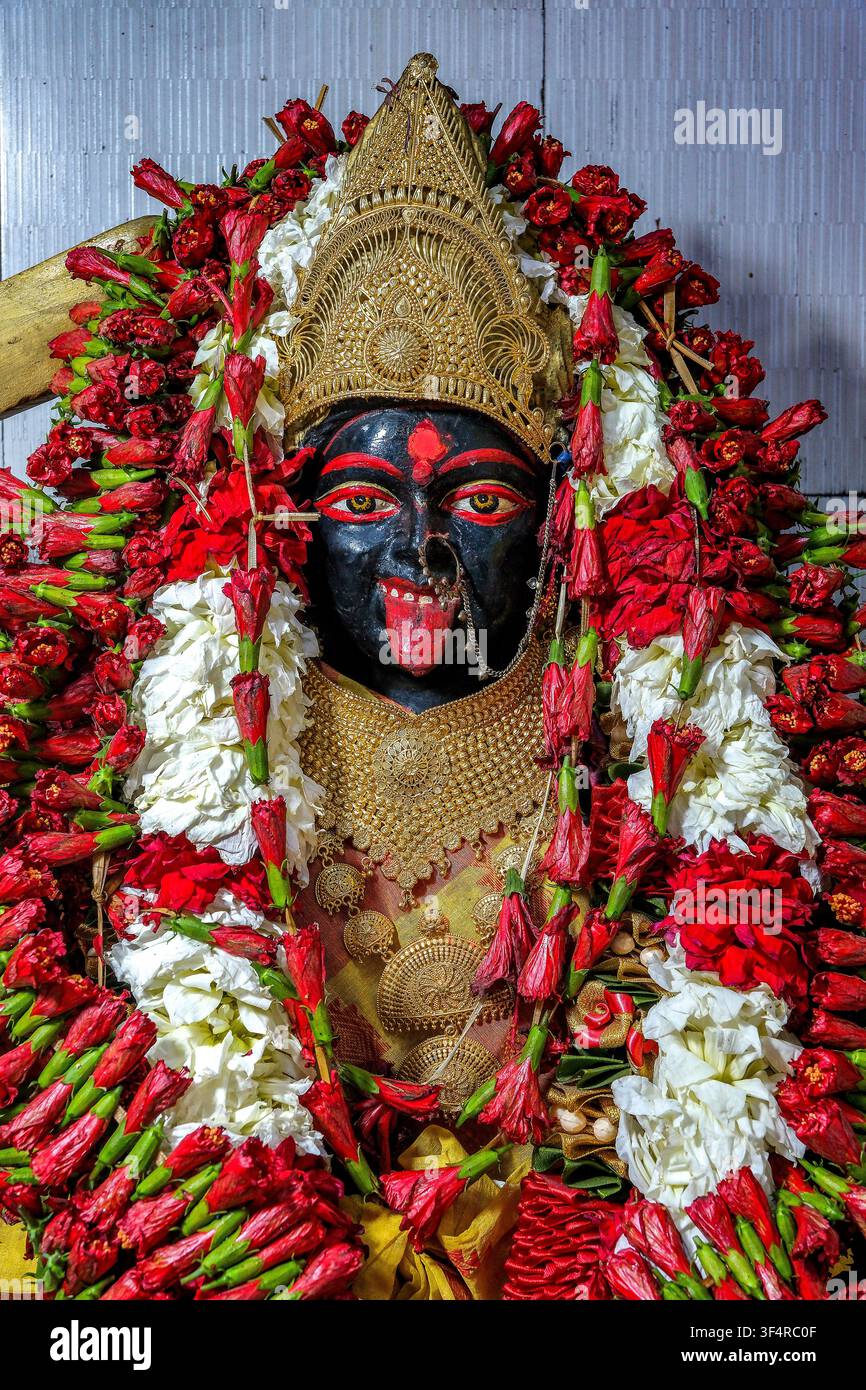 Statue de Kali, ornée de guirlandes de fleurs rouges et blanches, de bijoux en or et d'une couronne. Le visage peint montre sa langue sortie. Kolkata, Nous Banque D'Images