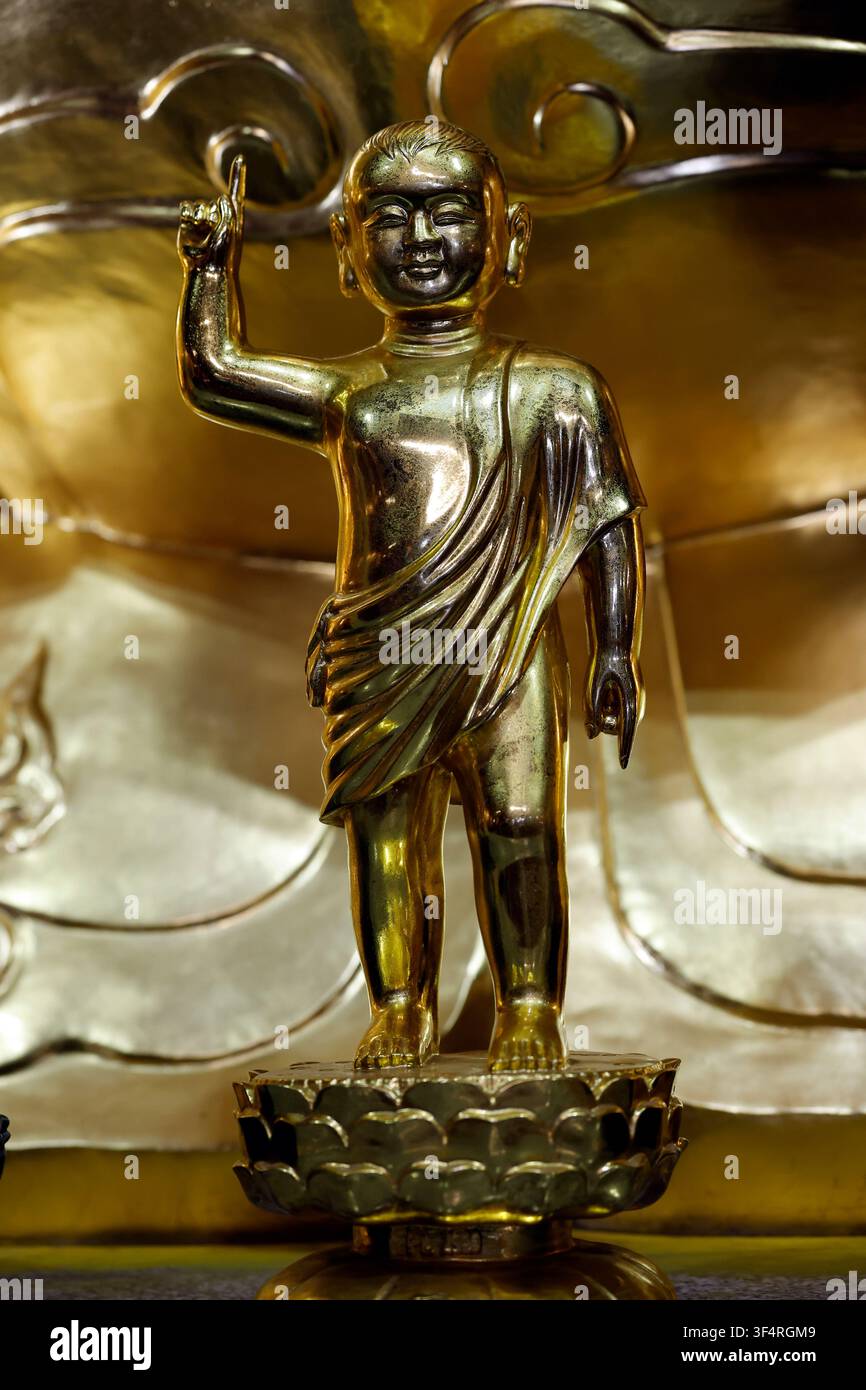 Pagode de Bai Dinh. Une statue dorée représentant le jeune Bouddha, Siddhartha Gautama, au moment de sa naissance, avec son doigt levé dans un geste de te Banque D'Images