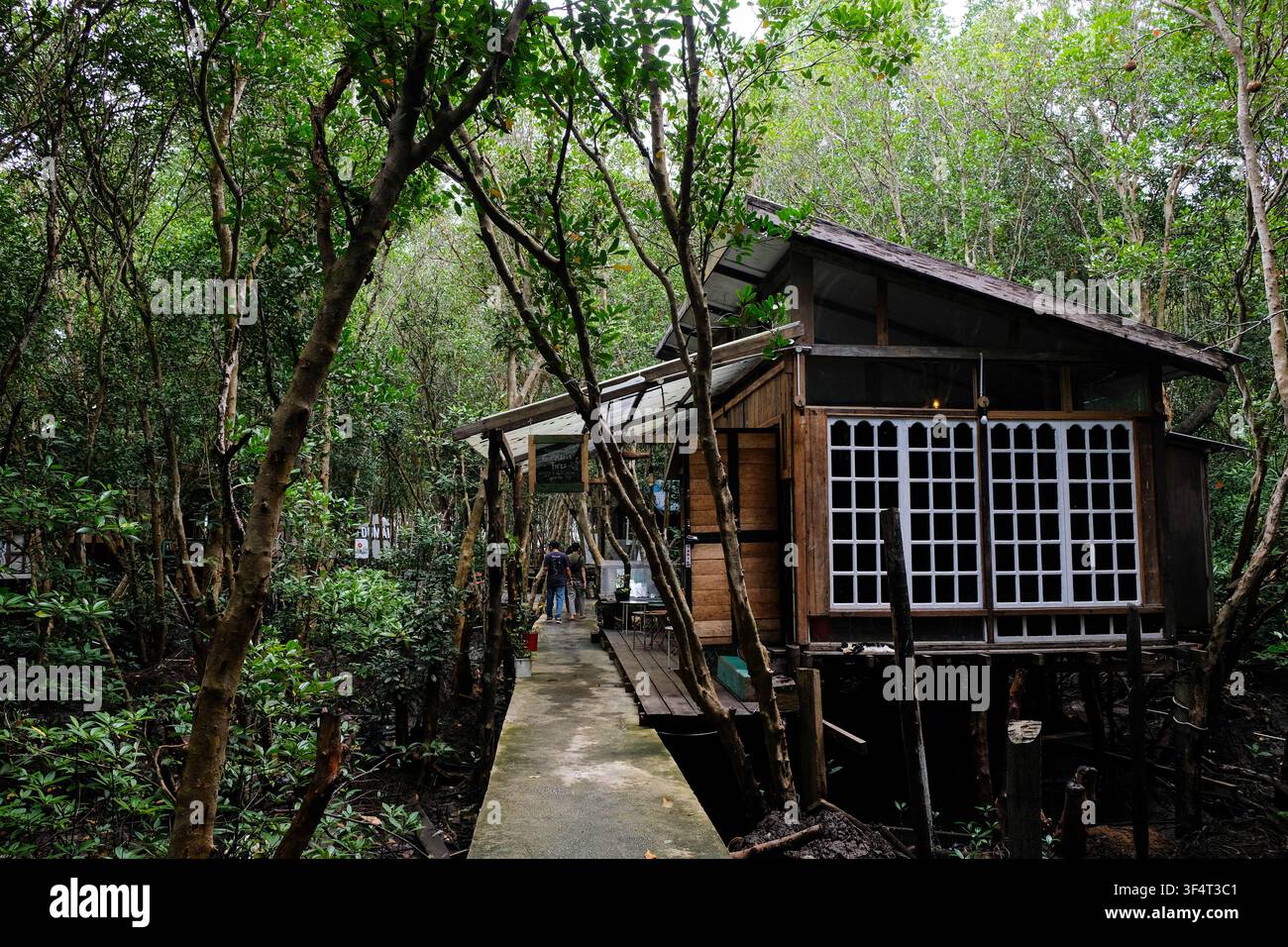 Riau, Indonésie - 27 décembre 2025 : Café en bois rustique sur pilotis dans la forêt de mangroves de Bandar Bakau, Dumai Banque D'Images