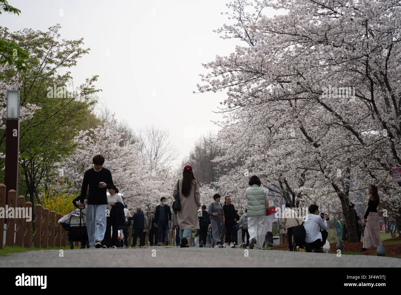 Visiteurs s'éloignant sous un chemin couvert de fleurs, parc Gucun, Shanghai Banque D'Images