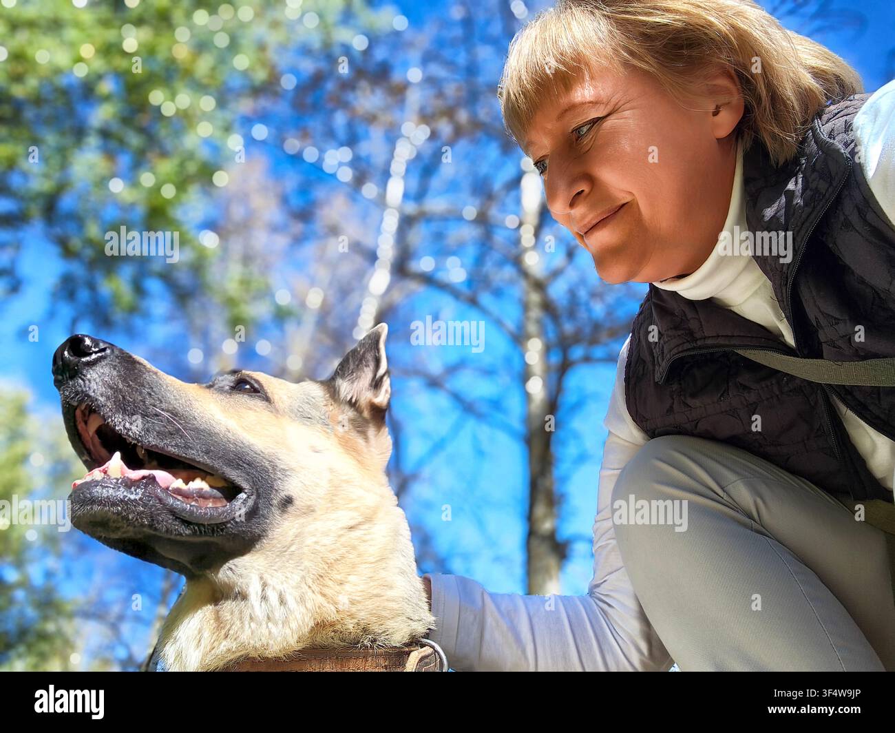 Une femme adulte partage des moments heureux avec son chien dans une forêt, mettant en avant leur lien et leur confiance tout en profitant de la nature. Banque D'Images